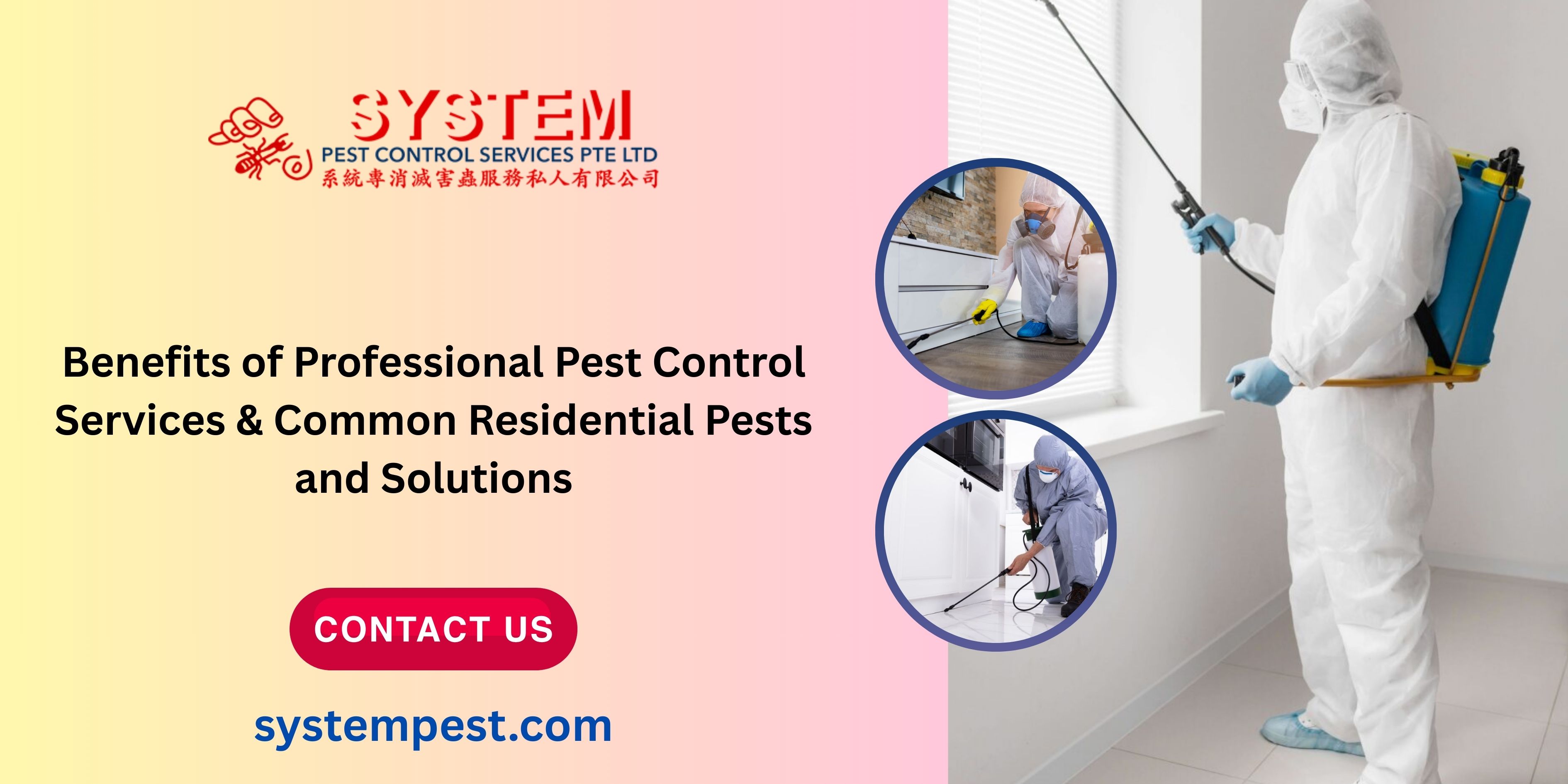 Benefits of Professional Pest Control Services & Common Residential Pests and Solutions